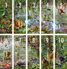 EDUCA Puzzle Wilderness 33600 elementów Podgląd zdjęcia produktu 7