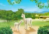 PLAYMOBIL 6647 - Alpaka mit Baby Produktbild-Vorschau 11