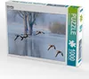 Calvendo Gänseflug 1000 Teile Puzzle quer 640x480mm, Produktbild-Vorschau 1