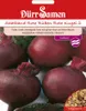 Artikelbild 1 von 'Rote Rübe Rote Kugel Saatband' aus der Kategorie Rote Beetesamen Produktbild-Vorschau