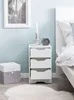 Noční skříňka WL5.704 31x49x31 cm Bílá matná se 3 zásuvkami Náhled obrázku produktu 5