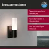 Zewnętrzna lampa ścienna Paulmann Tralia Podgląd zdjęcia produktu 6