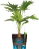 elho Greensense Aqua Care Quadrat 38 mit Integrierte Produktbild-Vorschau 5