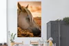 MuchoWow® Poster Pferd - Tiere - Porträt 120x180 cm - Produktbild-Vorschau 2