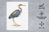 MuchoWow® Mauspad Mousepad Vogel - Federn - Aquarell 30x40 Produktbild-Vorschau 2