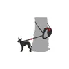 Dogxi Laisse pour chien Laisse à enrouleur 5 m Chien 25 kg Voir les images du produit 10