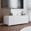 RAVIO TV Schrank Kolder 100 cm Kompakter RTV Schrank mit Produktbild-Vorschau 2
