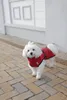 TRIXIE Hundemantel Minot - rot Produktbild-Vorschau 7
