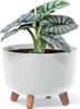 A plant in a white pot with wooden legs. Náhled obrázku produktu
