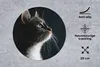 MuchoWow® Mauspad Mousepad Hauskatze 20x20 cm - Mousepads - Produktbild-Vorschau 2