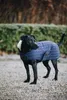Kentucky Dogwear Pearls Hundemantel 160 g Produktbild-Vorschau 6