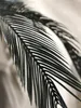Emerald Künstlicher Japanischer Palmfarn im Topf 80 cm Produktbild-Vorschau 4