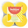 Bolsius Maxi Teelichter True Citronella - 8 Stück Produktbild-Vorschau 10