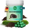 PVU Maulwurfskugeln 100er Pack - Maulwurf-Kugeln- Sofort-& Produktbild-Vorschau 1