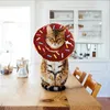 A cat wearing a donut-shaped collar sits on a wooden table in a bright kitchen. Produktbild-Vorschau