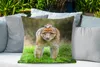 MuchoWow® Outdoor Kissen - Tier - Affe - Baby - 60x60 cm - Produktbild-Vorschau 4