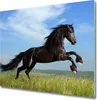 Glas Herdabdeckplatte 60x52 cm Spritzschutz Produktbild-Vorschau 1