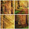 Bild auf Leinwand - Leinwandbild - Einteilig - Wald Baum Produktbild-Vorschau 8
