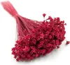 Hill Blume - Rot Produktbild-Vorschau 1
