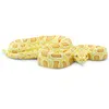 Safari Ltd Albino Burmese Python Yellow / Orange From 3 Produktbild-Vorschau 2