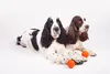 Palla per cani, Ultraleggera, Innocua, Galleggia Anteprima dell’immagine prodotto 3