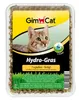 GIMCAT Hydro-Gras Gras – Leckerli für Katzen – 150g Produktbild-Vorschau 5