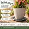 Pflanztopfuntersetzer Mira Anthrazit Ø 68cm - Frostsicher & Produktbild-Vorschau 2