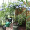 Treillis circulaire pour jardin, support résistant aux Voir les images du produit 6