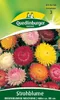 Strohblume, Riesenblumige Mischung Produktbild-Vorschau 6