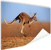 MuchoWow® Poster Känguru - Landschaft - Mantel - Braun Produktbild-Vorschau 1