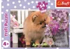 A puzzle box featuring a Pomeranian puppy smelling flowers. Produktbild-Vorschau