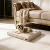 WISFOR Lettino per cani, divanetto per cani, cuscino per Anteprima dell’immagine prodotto 2