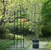 Pergola ogrodowa na kwiaty, róże kolumnowa Persian Yellow Podgląd zdjęcia produktu 6