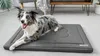 A dog is lying on a dog bed in a room. Náhľad obrázku produktu