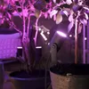 Philips Hue White and Color ambiance 1741430P7 Luce a Anteprima dell’immagine prodotto 12