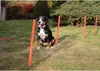 Merco Dog Trainer agility překážky pro psy balení 1 sada Náhled obrázku produktu 14