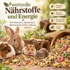 25 kg karma dla gryzoni króliki karłowate świnki morskie Podgląd zdjęcia produktu 3