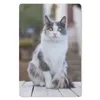 MuchoWow® Mauspad Mousepad Katze - Porträt - Tisch - Produktbild-Vorschau 1