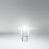 A clear studio shot of a single car light bulb against a gradient background. Anteprima dell’immagine prodotto