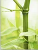 ARTland Glasbild Bambus Zweig Größe: 45x60 cm Produktbild-Vorschau 1