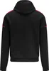 Porsche Motorsport Kapuzenpullover "Logo" - schwarz Produktbild-Vorschau 2