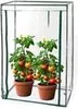 Two potted tomato plants inside a clear plastic greenhouse. Anteprima dell’immagine prodotto