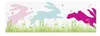 Heyda 203584486 Tapes fenêtre "Lapin" 200 x 7,5 cm Voir les images du produit 2