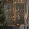 A window decorated with star-shaped string lights, with a Christmas tree branch visible on the left. Produktbild-Vorschau