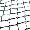 Gartennetz Teichnetz 2 x 10m Vogelschutznetz Laubschutznetz Produktbild-Vorschau 7