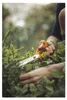Fiskars Universalschere 21 cm Produktbild-Vorschau 3