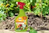 Solabiol Grundstoff Urtica Spray - 1 Liter Produktbild-Vorschau 13