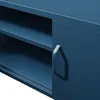 Close-up of a dark blue cabinet with a sliding door and shelves. Anteprima dell’immagine prodotto