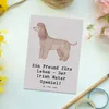 Mr. & Mrs. Panda Postkarte Irish Water Spaniel Freund - Produktbild-Vorschau 2