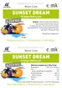 Slush-Sirup Eis Sunset Dream (Orange-Maracuja) | Konzentrat Produktbild-Vorschau 4